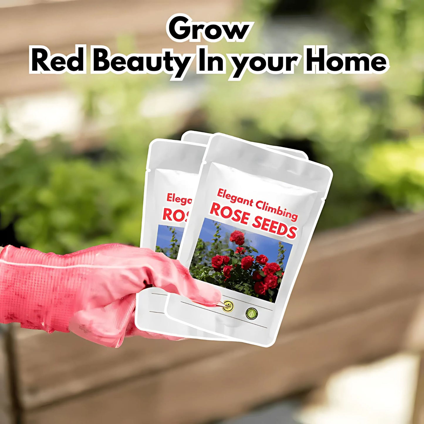 Elegant Climbing Rose Flower Seeds🌹
